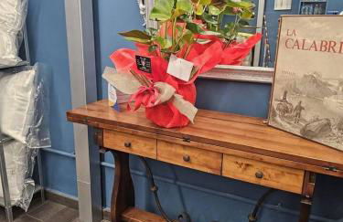 Loft nel cuore di RC - Foto 1