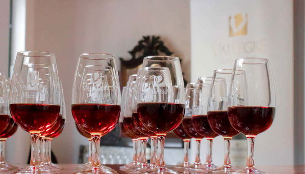 Casa da Guitarra Fado Show - Foto 4