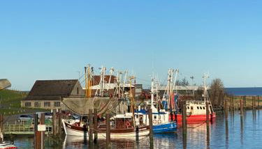 Gut Groß Fedderwarden, Ferienwohnung Emma - Foto 2
