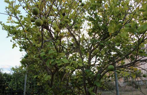 Villa Sofia Filoxenia - Photo 47