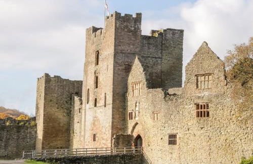 Stargazer's Loft - Photo 20