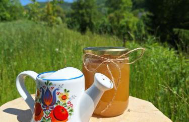 Agroturystyka Cieślarówka - Foto 33