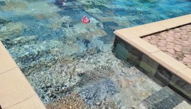 Le Temps Retrouvé - Foto 3