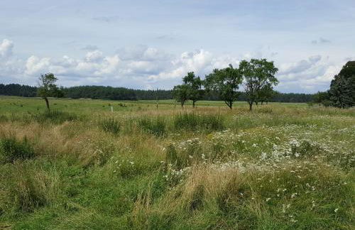 Ferienhaus Uckermark pur - Photo 17