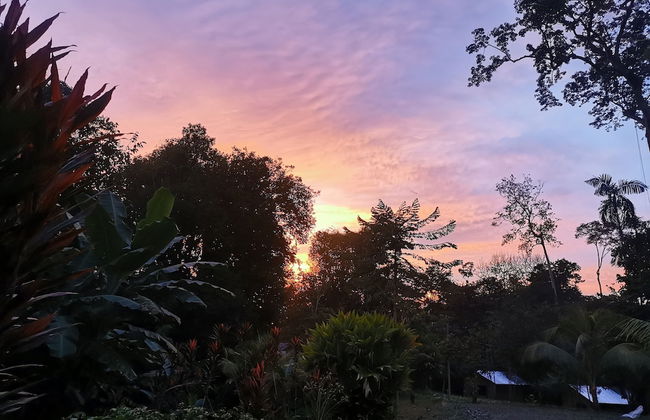 Citronela Lodge Corcovado - Foto 40