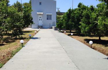 Lemon Loft - Photo 17