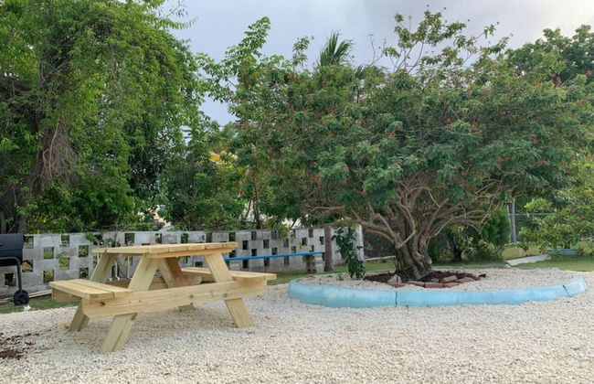 S2A Blue Pavilion - Beach Transfers Meals Tours Island Retro Chic - Photo 26