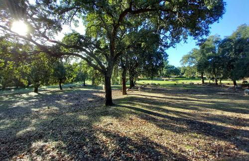 Casa da Vinha - Foto 39