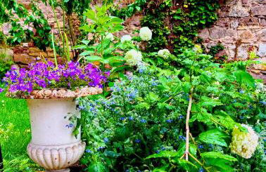 La Villa Alma Colmar - Foto 4