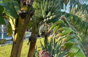 Cape Coral Home with Heated Pool - Foto 16