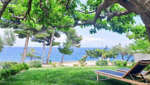 Nama Beach House - Foto 4, Garden, sunbed