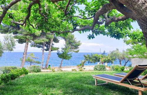 Nama Beach House - Photo 4