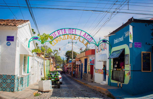 Ajijic + Lake Chapala Tour - Photo 6