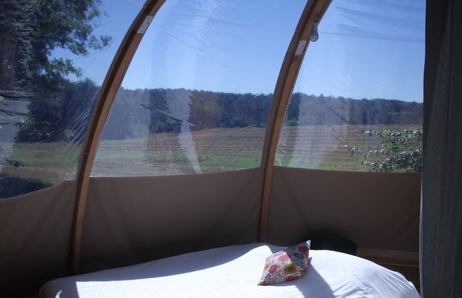 Ô bois dormant - Foto 29