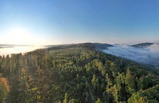 Die Nummer eins - Ferienwohnungen Hufnagel - Foto 33