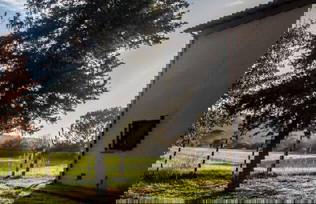 Bio Tenuta di Paganico - I Roggeti - Foto 78