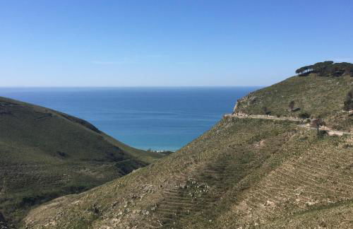 I Giardini Di Margius - Foto 72