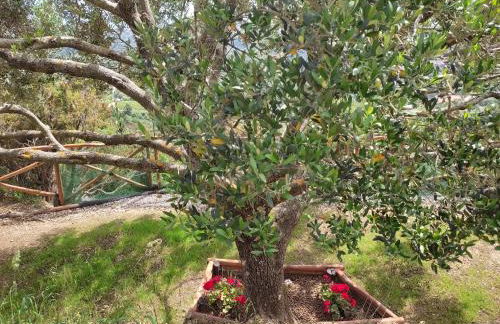 Il Ciuffo: ampia casa panoramica con parcheggio. - Foto 13