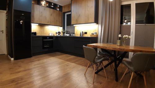 Lux-house Braniewo - Foto 3, stove, dishwasher, pet friendly, minibar