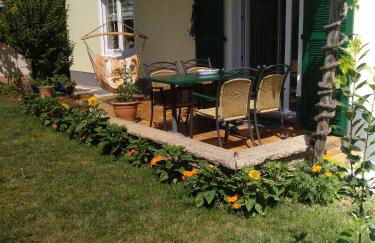 Kakteengarten - Foto 11