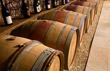 Château des Janroux - Foto 13