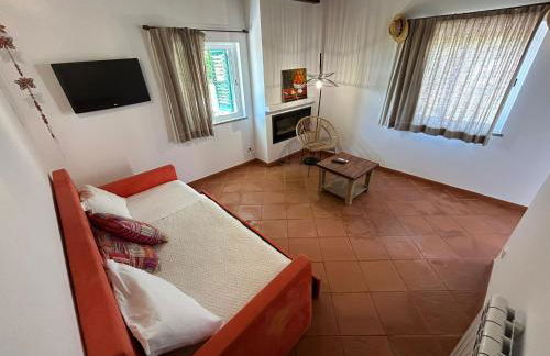 Agroturismo Horta Da Vila - Foto 35