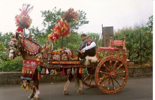 Biologico Dell'Etna - Foto 22