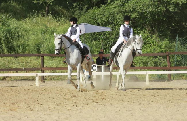 Farmhouse With Stables, Horses and the Ability to Make Horseback Riding - Foto 73