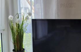 Berlin-Oase - schnuckelige Ferienwohnung an der Grenze zu Berlin - Foto 24