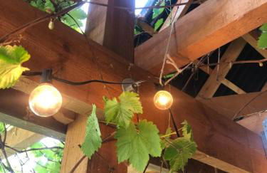 Wilde Möhre Bauwagen Sommerküche Draussen Abenteuer - Photo 9