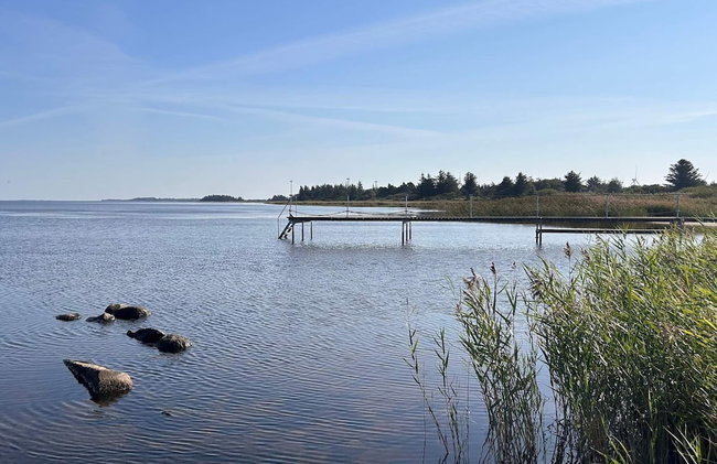4 Star Holiday Home in Hemmet - Foto 80
