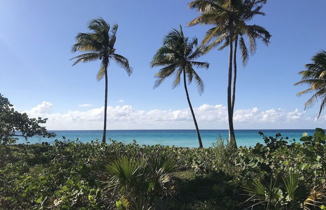 Casa Marlin - Foto 41