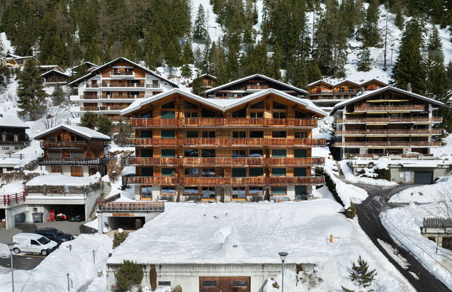 Les Mayens 3.2 - Foto 31