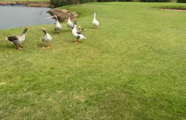 La Bahía playa - Foto 36