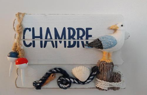 Les goélands - Foto 20