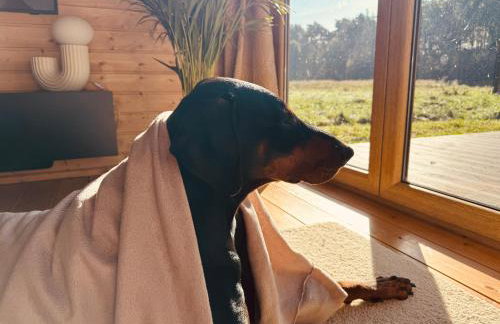 aResowa Wioska - Foto 21