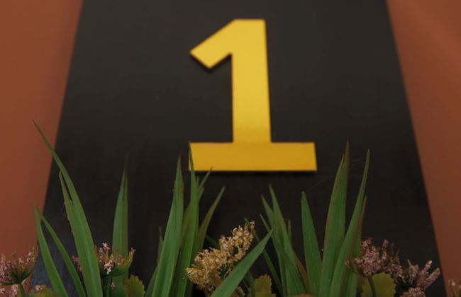 De Chateau Paradise - Foto 61