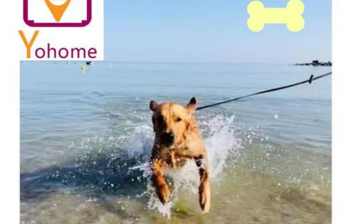 Casale Passalacqua Pesaro by Yohome - Foto 24