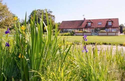 The Owl House - Foto 21