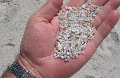 Agriturismo Le Mimose - Foto 10