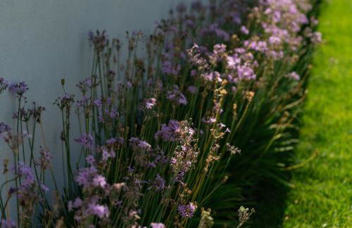 Villa Tina Mondello - Foto 34