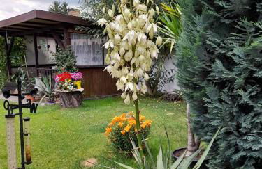 Ferienhaus im Spreewald - Foto 21