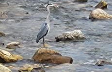 Ca Na Martina - Foto 36