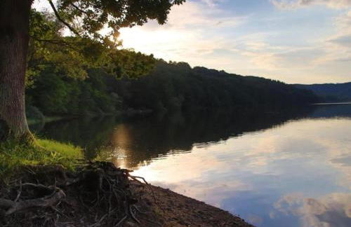 Ferienhaus in Obernburg am Edersee - Foto 69