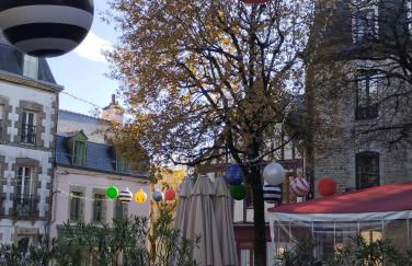 * LE CHAMARELLE * Hyper Centre Auray * - Foto 23