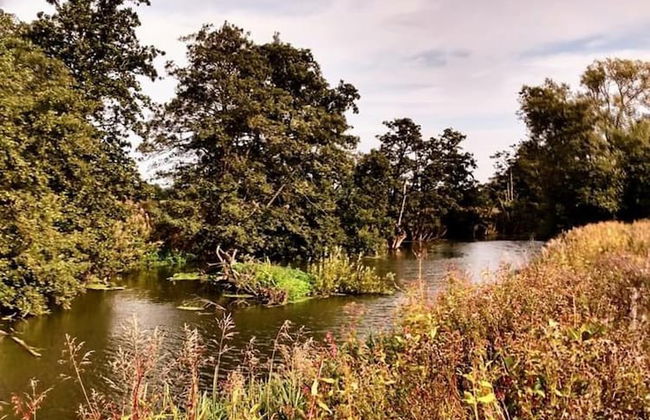Luxury Studio Cottage at Foot of Yorkshire Wolds - Photo 14