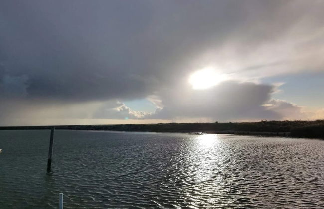 12 Person Holiday Home in Rodby - Foto 53