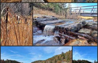 La finestra sul giardino - Edolo - Foto 25