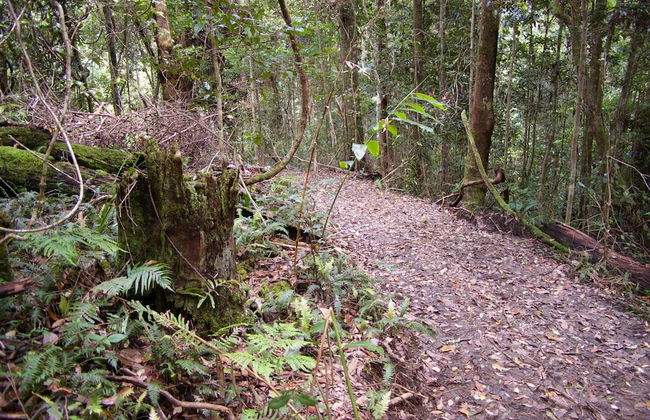 Bellthorpe Stays - Foto 55