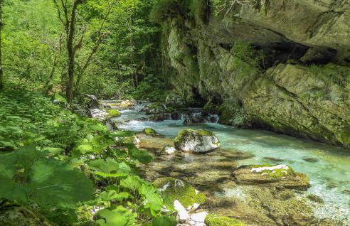 Alla Cocca - Foto 41